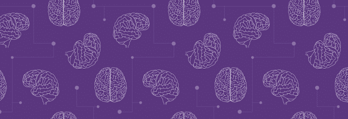 brain on a purple background