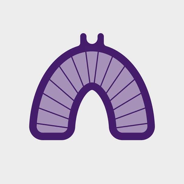 What's the difference between super floss, threaders, floss picks, and  dental floss? – TruCare Dentistry