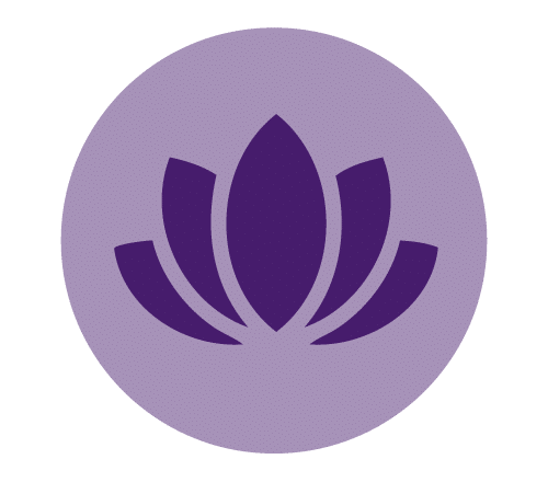 relaxing lotus flower